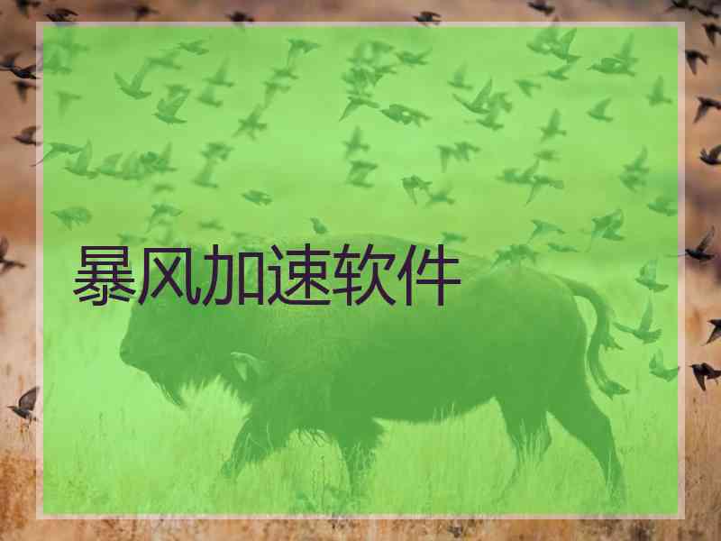 暴风加速软件