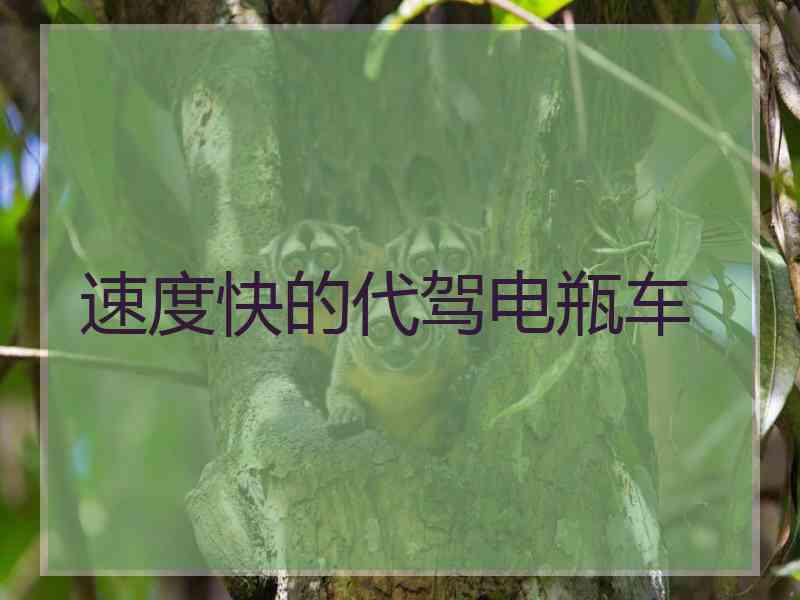 速度快的代驾电瓶车