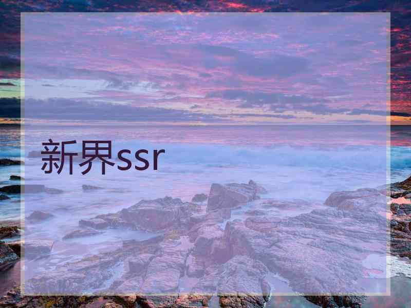 新界ssr