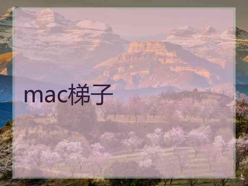 mac梯子