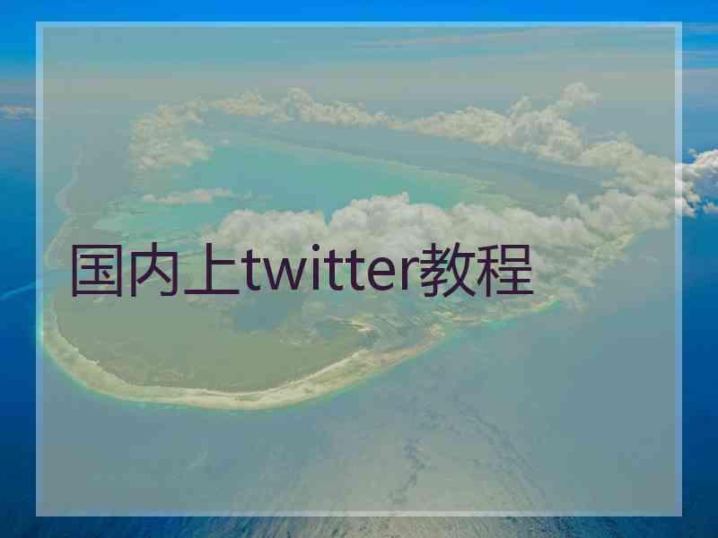 国内上twitter教程