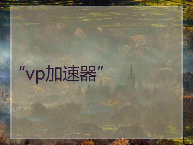 “vp加速器”