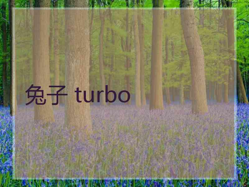 兔子 turbo