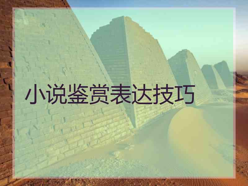 小说鉴赏表达技巧