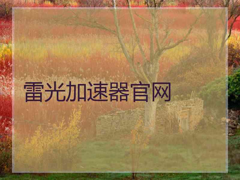 雷光加速器官网