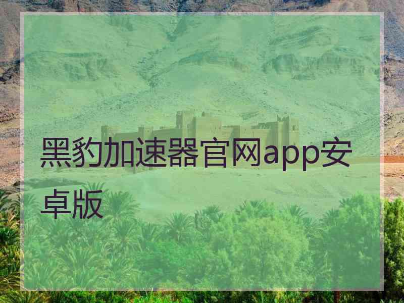 黑豹加速器官网app安卓版