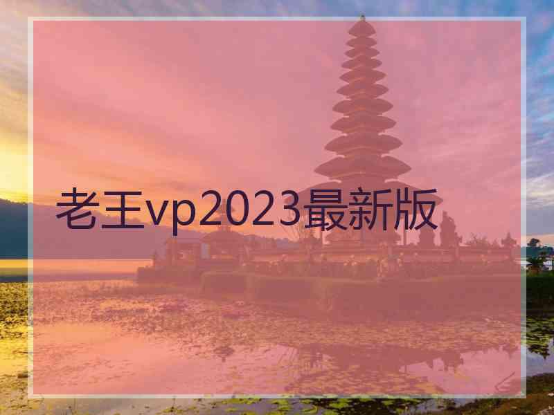 老王vp2023最新版