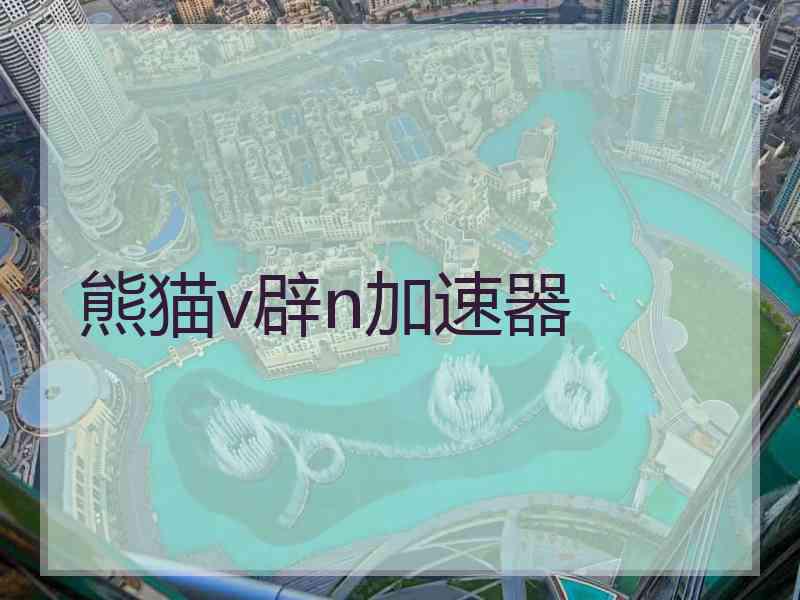 熊猫v辟n加速器