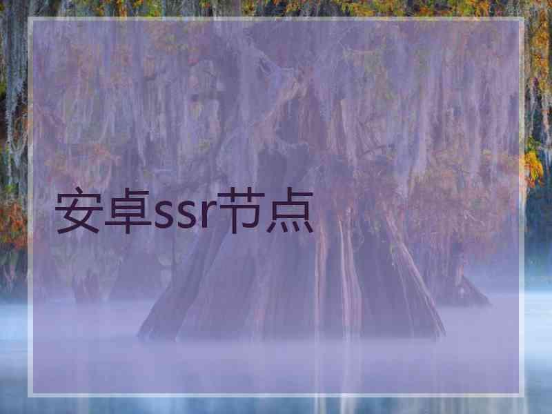 安卓ssr节点