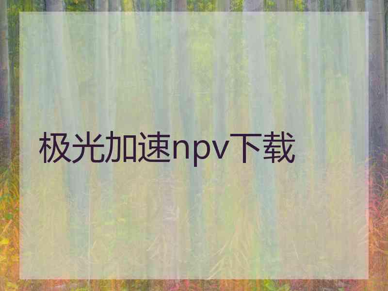 极光加速npv下载