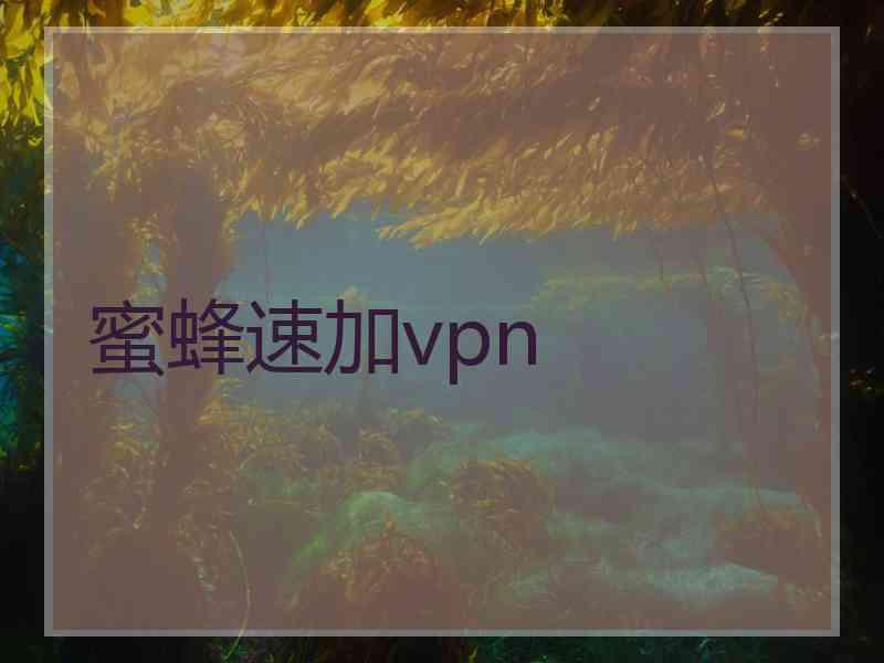 蜜蜂速加vpn