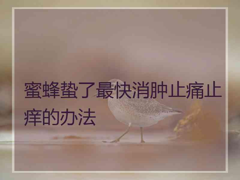 蜜蜂蛰了最快消肿止痛止痒的办法