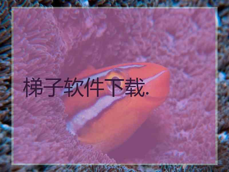 梯子软件下载.