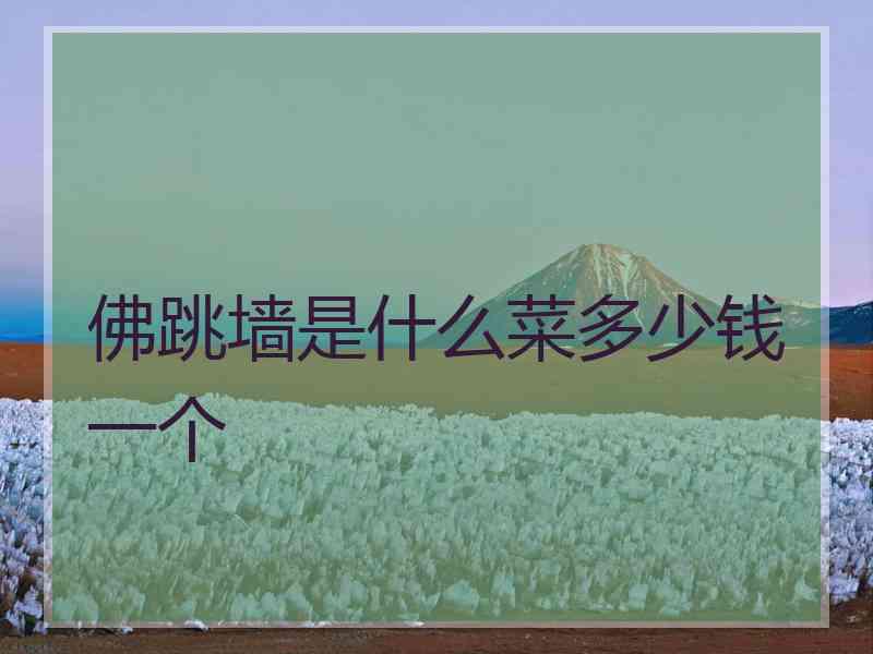 佛跳墙是什么菜多少钱一个