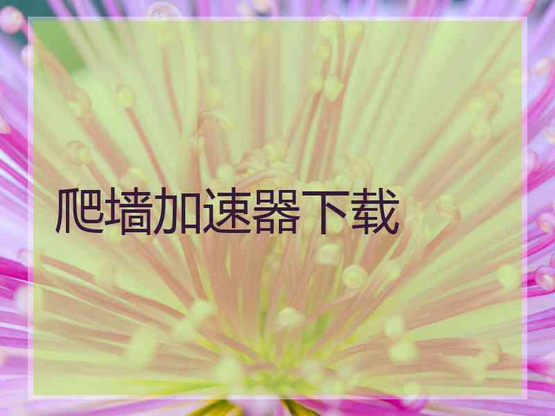 爬墙加速器下载