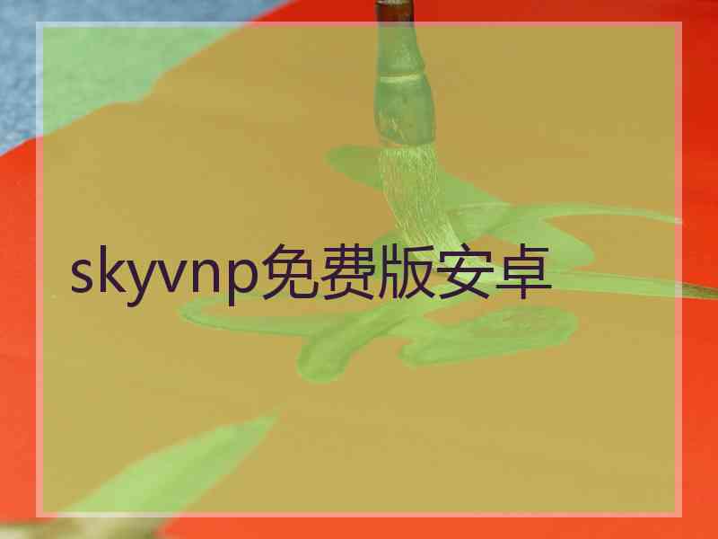 skyvnp免费版安卓