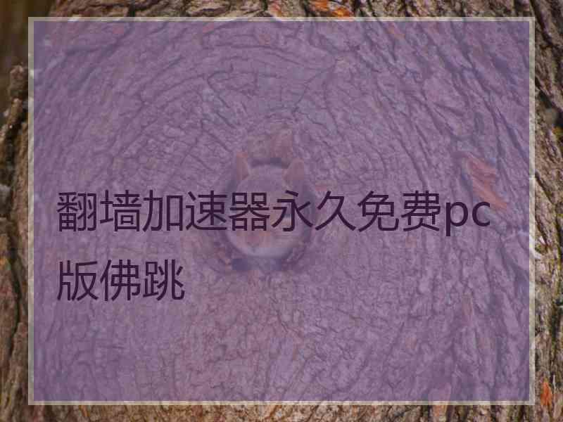 翻墙加速器永久免费pc版佛跳