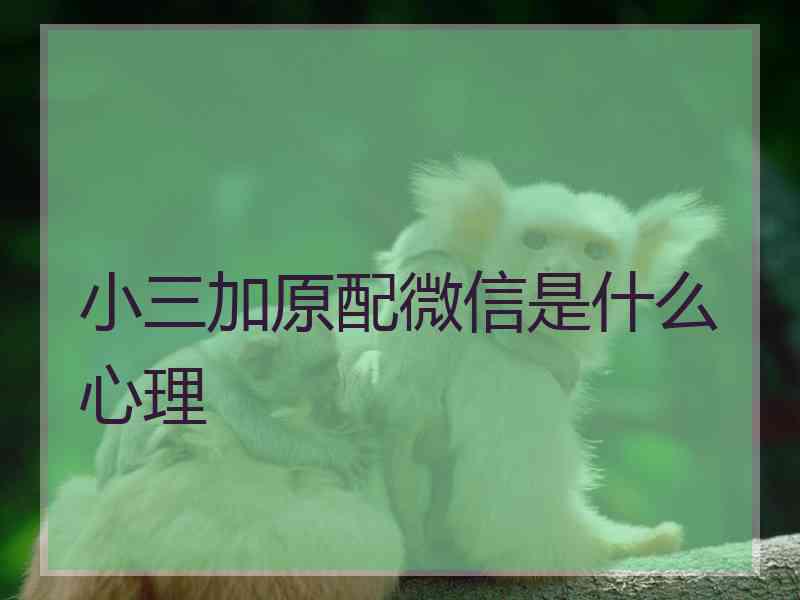 小三加原配微信是什么心理