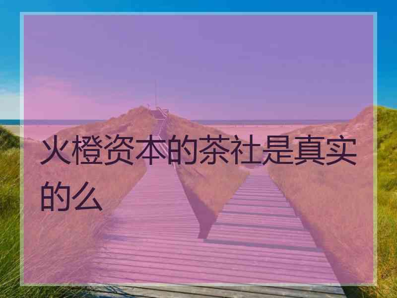火橙资本的茶社是真实的么