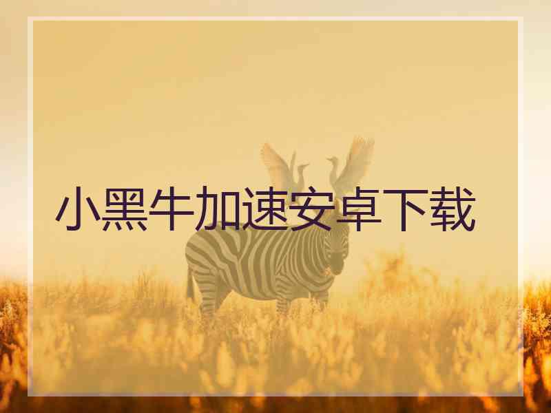 小黑牛加速安卓下载