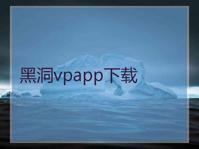 黑洞vpapp下载