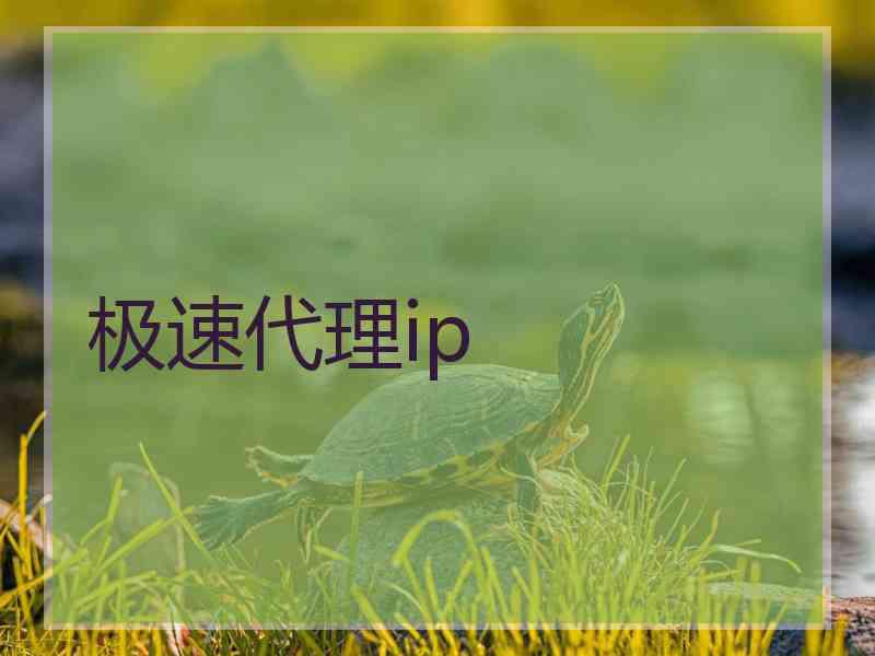 极速代理ip