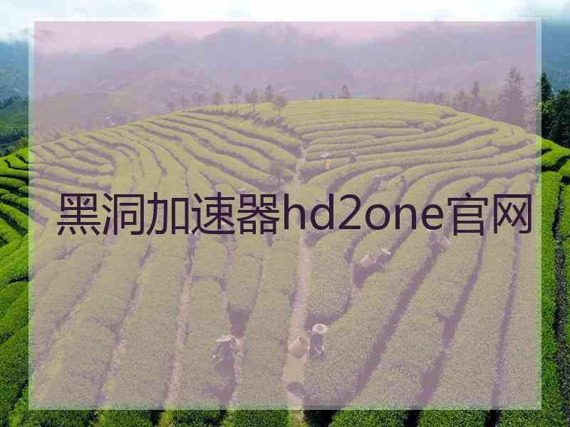 黑洞加速器hd2one官网