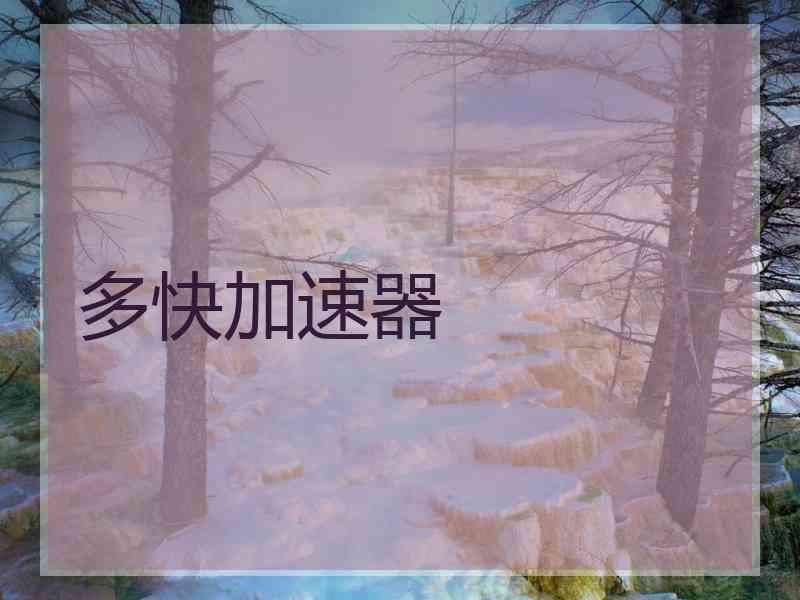 多快加速器