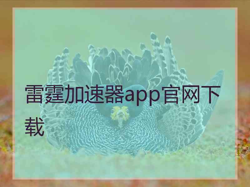 雷霆加速器app官网下载