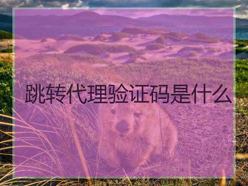 跳转代理验证码是什么