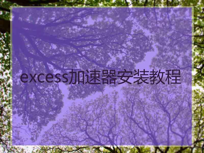 excess加速器安装教程