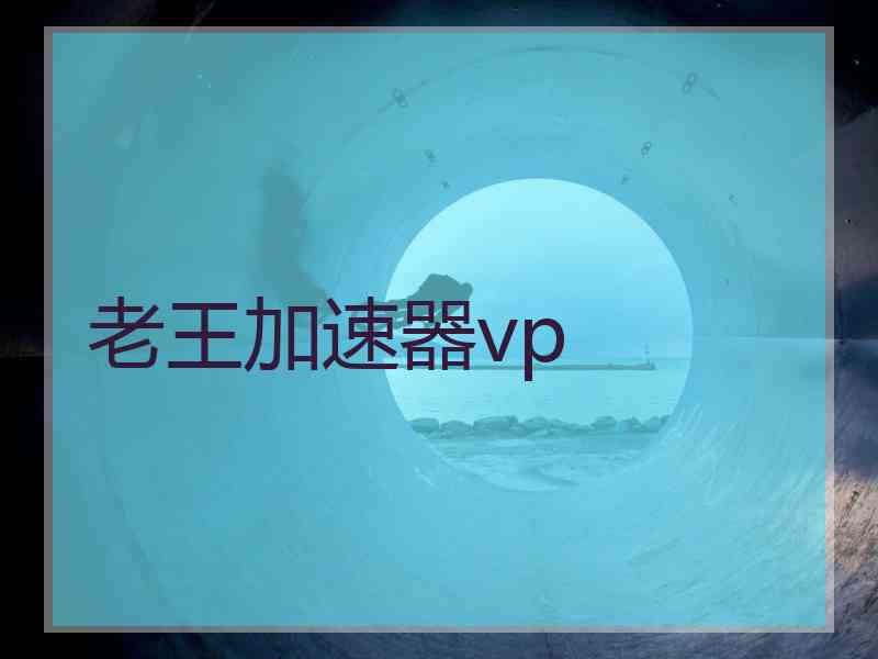 老王加速器vp