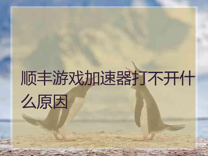 顺丰游戏加速器打不开什么原因
