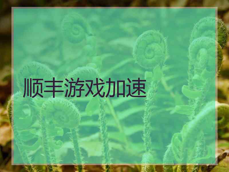 顺丰游戏加速