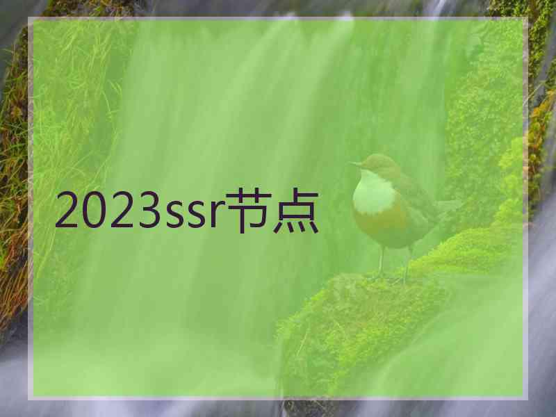 2023ssr节点