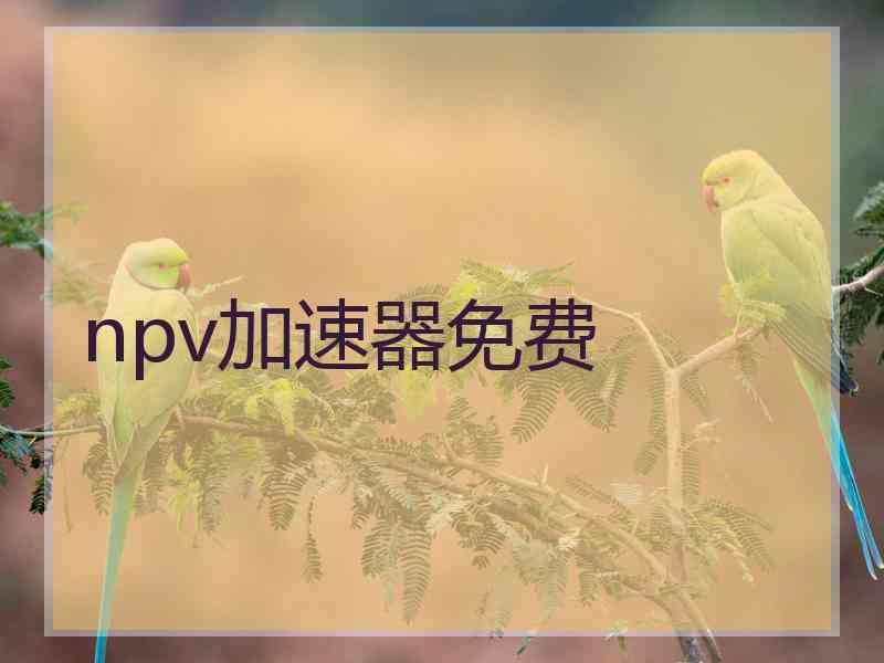 npv加速器免费