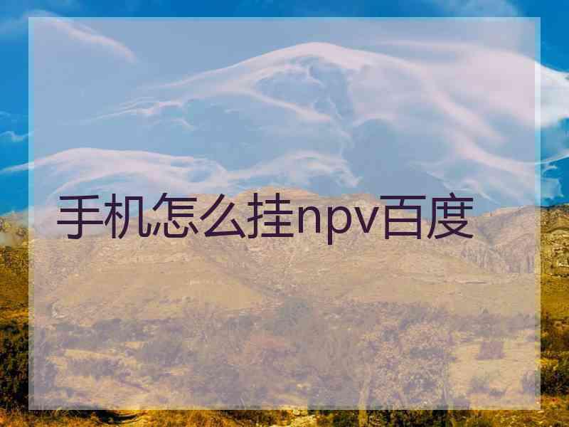 手机怎么挂npv百度