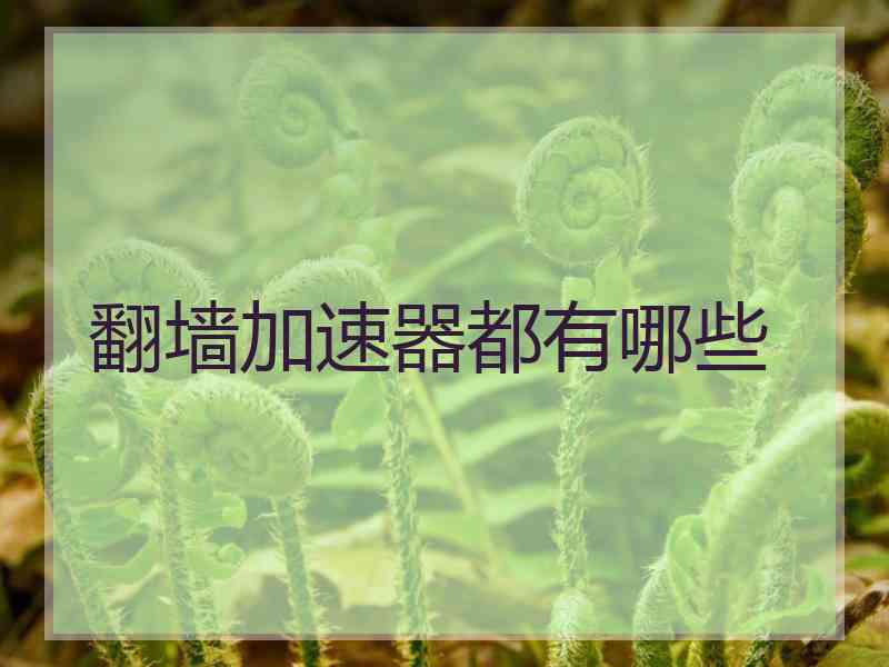 翻墙加速器都有哪些