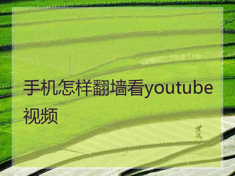 手机怎样翻墙看youtube视频