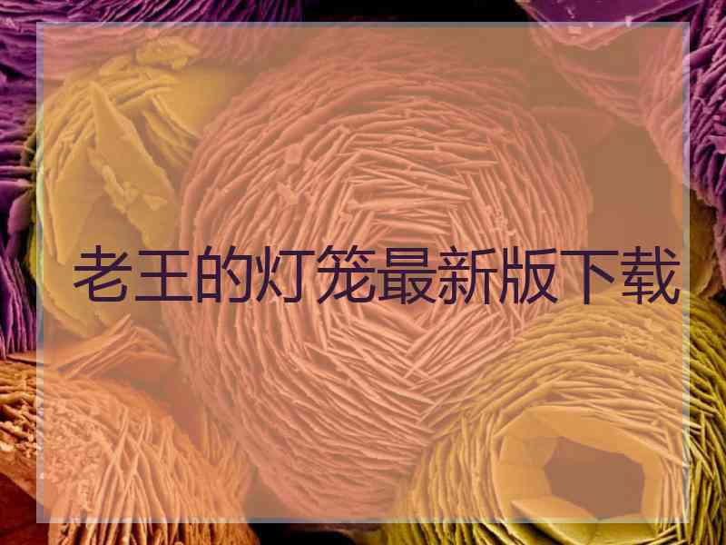 老王的灯笼最新版下载