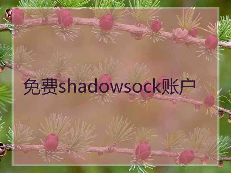 免费shadowsock账户