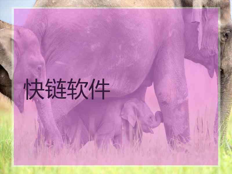 快链软件