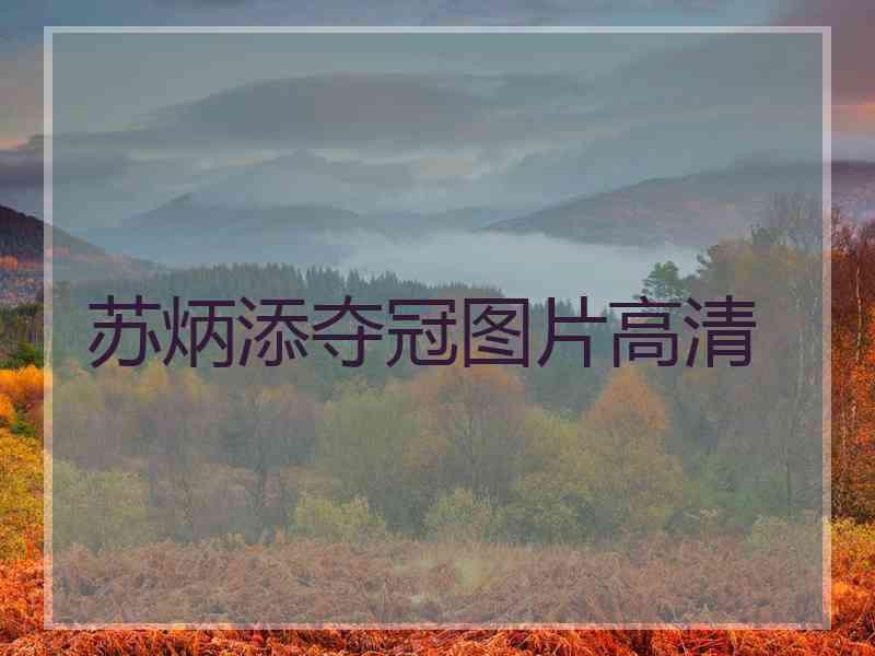 苏炳添夺冠图片高清