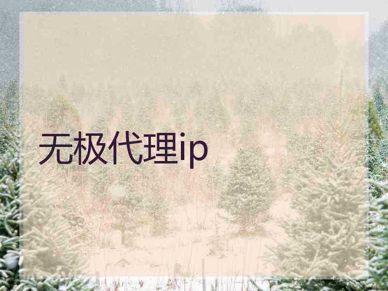 无极代理ip