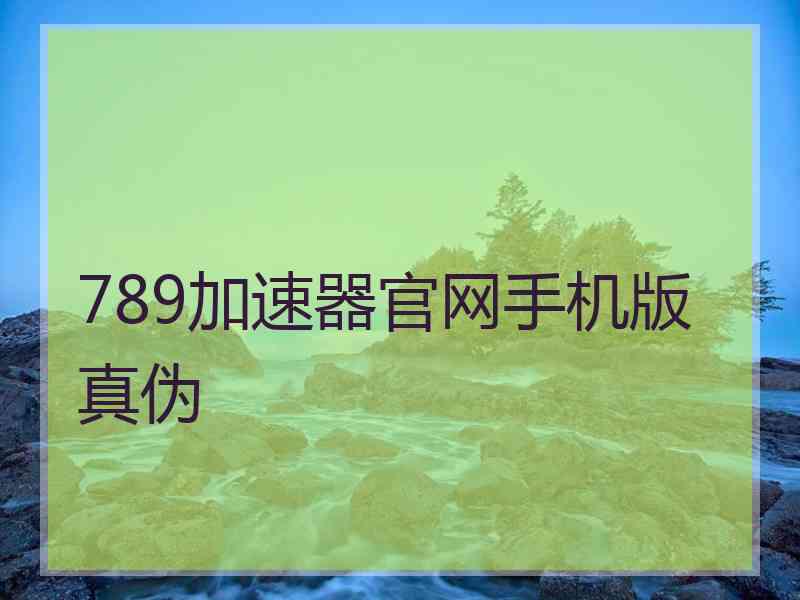 789加速器官网手机版真伪