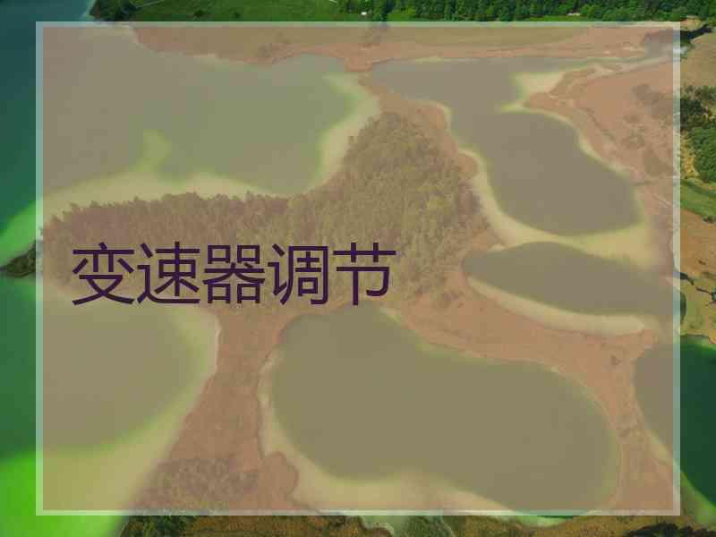 变速器调节