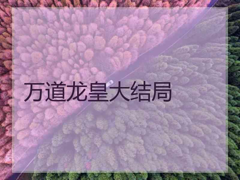 万道龙皇大结局