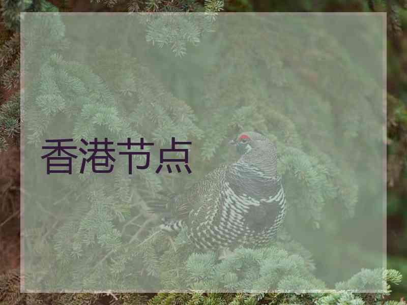 香港节点