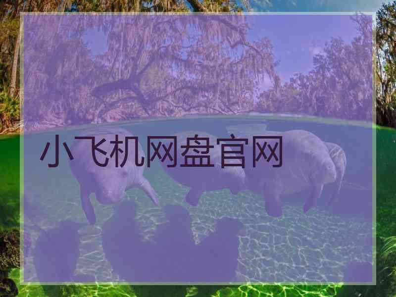 小飞机网盘官网