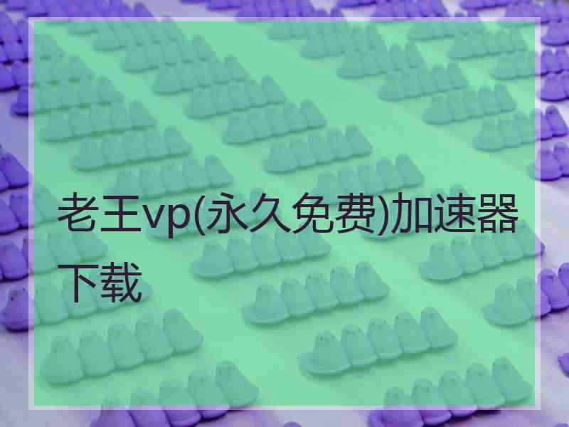 老王vp(永久免费)加速器下载